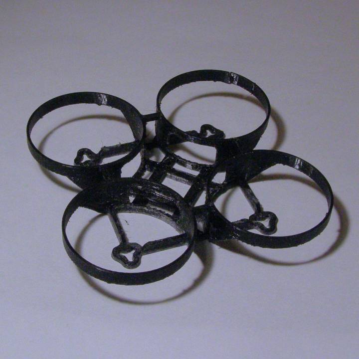 Brushless Mighty Whoop image