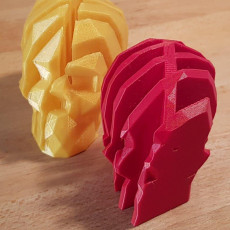Picture of print of Interlocking Low-Poly Skulls