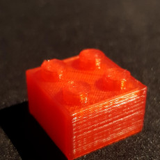 Picture of print of Lego bricks