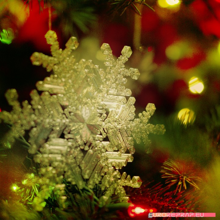 Real snowflake - Christmas Tree decoration - size: 128mm image