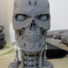 Picture of print of Terminator T800 Bust