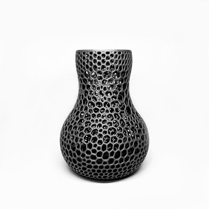 Organic Vase image