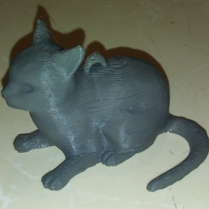 Cat with smooth finish image