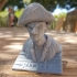 Pirate Bust print image