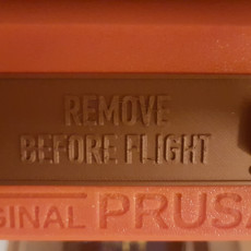 Picture of print of Prusa i3 Mk3 LCD Cover - REMOVE BEFORE FLIGHT