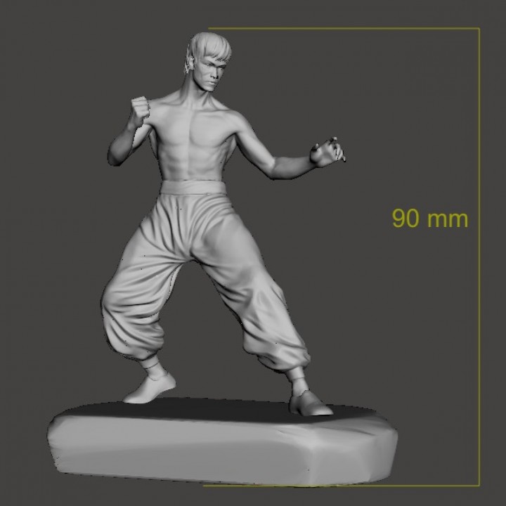 Bruce Lee image