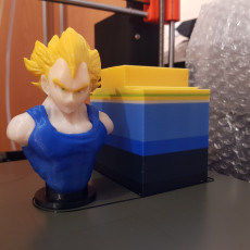 Picture of print of Muti-Coloured Vegeta Bust