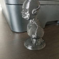 Picture of print of The Flash bust