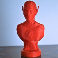 Picture of print of The Flash bust