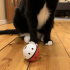 Cat Treat Ball Dispenser print image