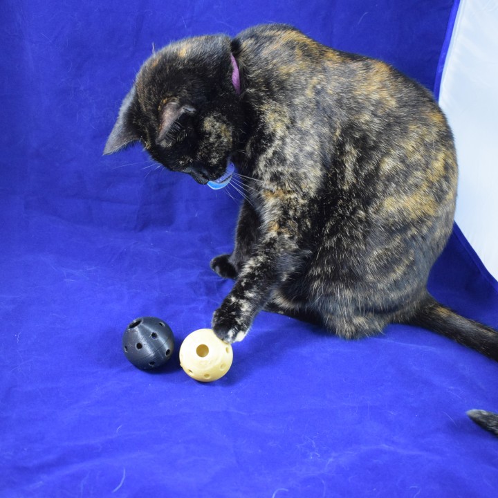 Cat Treat Ball Dispenser image
