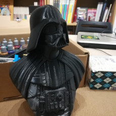 Picture of print of Darth Vader bust