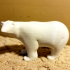 Polar Bear print image
