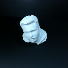 Picture of print of Untitled 3D Scan 2019-01-18
