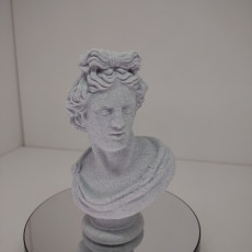 Picture of print of Bust of the Apollo Belvedere