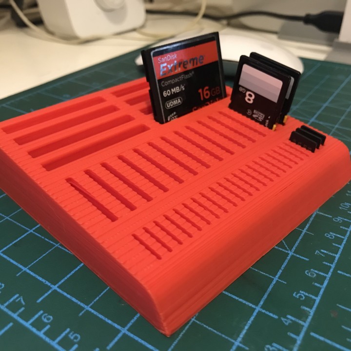 3D Printable MiroSD, SD, CF card holder by Ammar Faridi