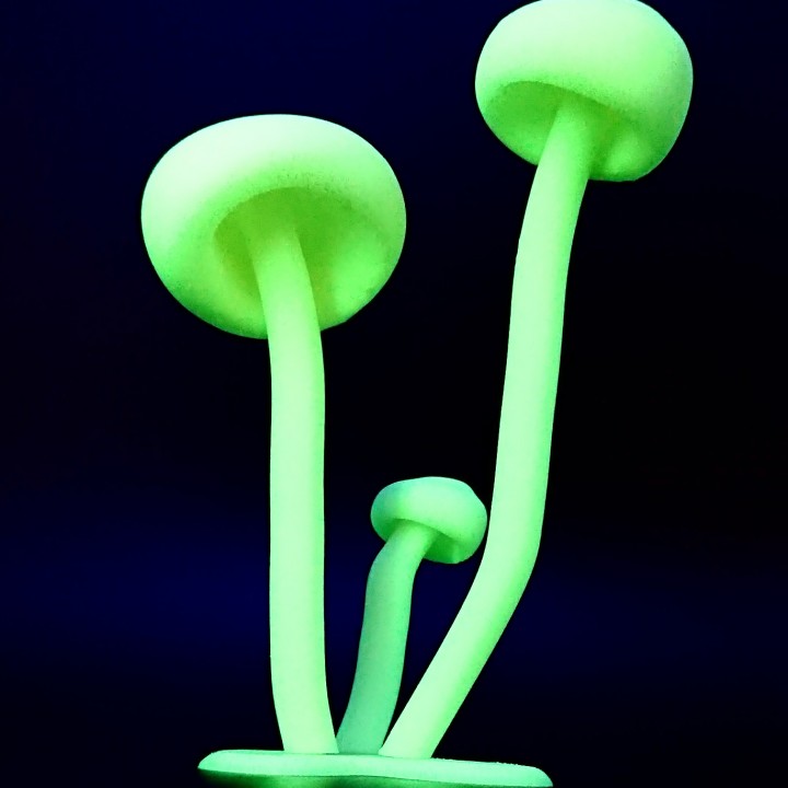 Glowing Mushrooms image