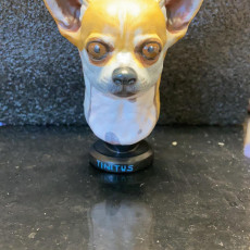 Picture of print of Chihuahua Statue