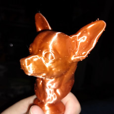 Picture of print of Chihuahua Statue