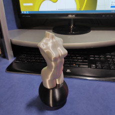 Picture of print of Woman nude body optimised for vase mode This print has been uploaded by Gu. An.