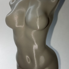 Picture of print of Woman nude body optimised for vase mode
