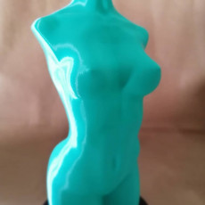 Picture of print of Woman nude body optimised for vase mode