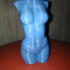 Woman nude body optimised for vase mode print image