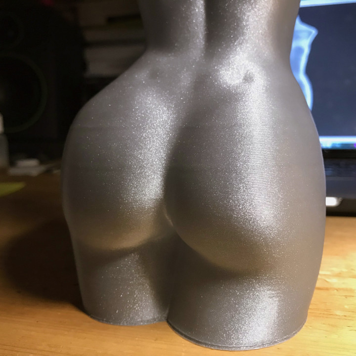 Woman nude body optimised for vase mode image