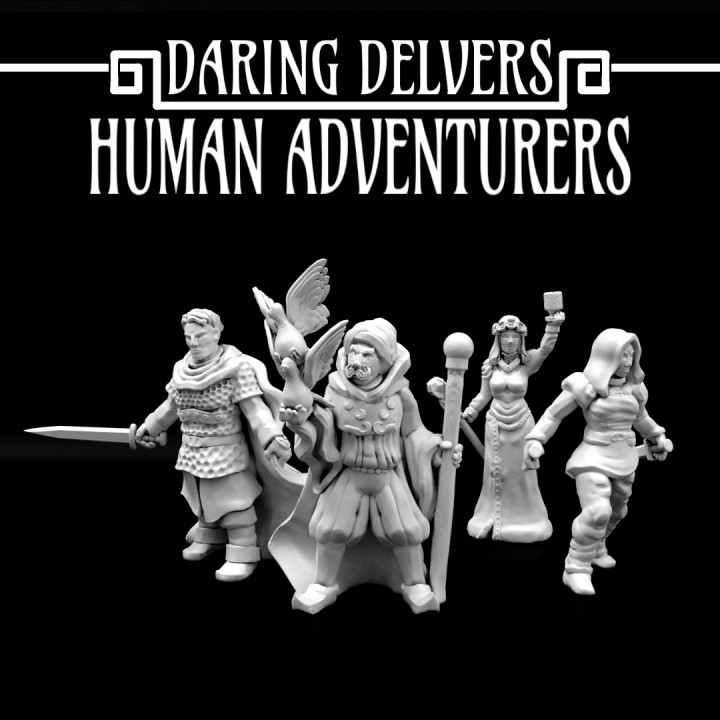 Daring Delvers: Human Adventurers image