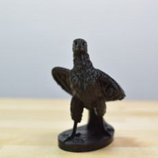 Picture of print of Striding Eagle