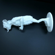 Picture of print of Dobby Remake