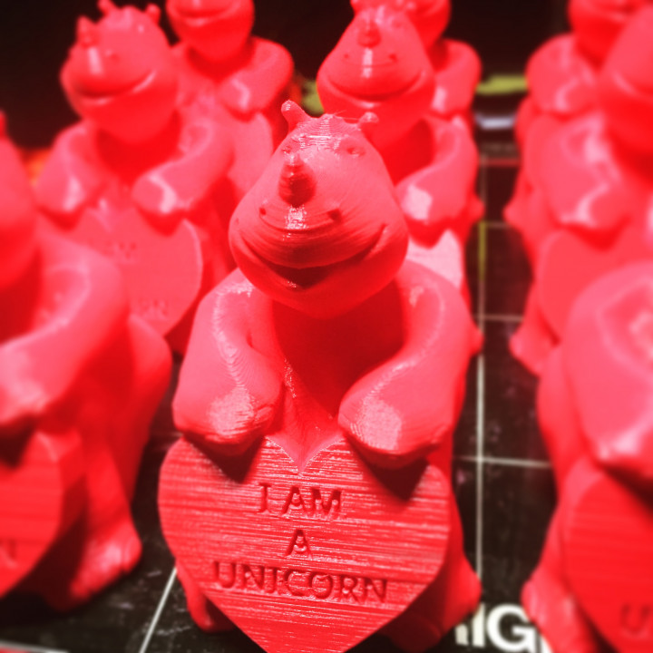 "I Am A Unicorn" Rhino Statue image