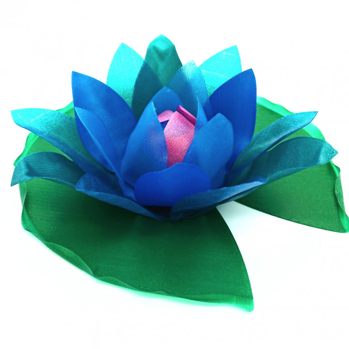 Water Lily (with a hidden secret) image