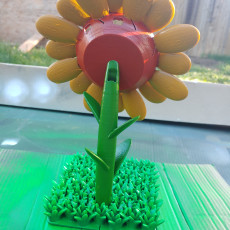 Picture of print of Google Home Sunflower