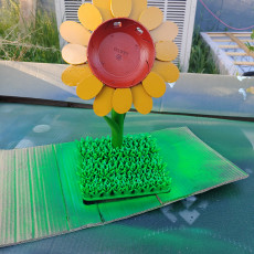 Picture of print of Google Home Sunflower