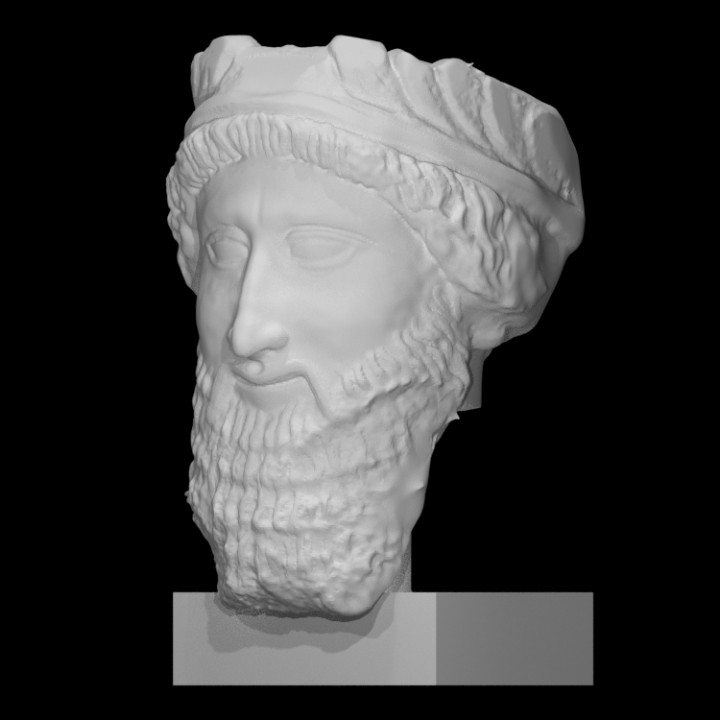 Head of a bearded man image