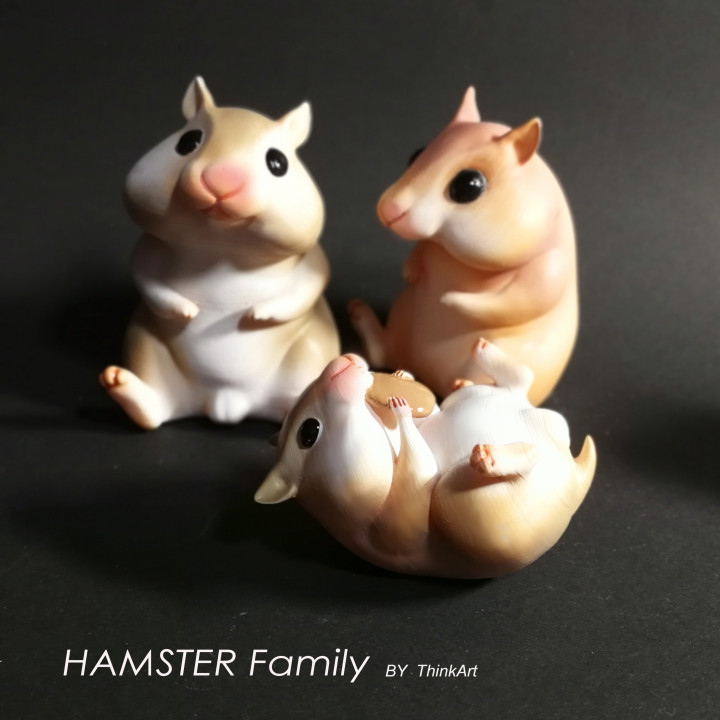 Hamster Family image