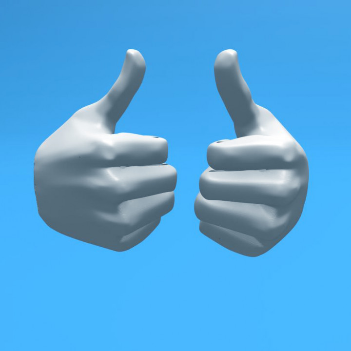 ZIPGUY THUMBS UP HAND -RIGHT image