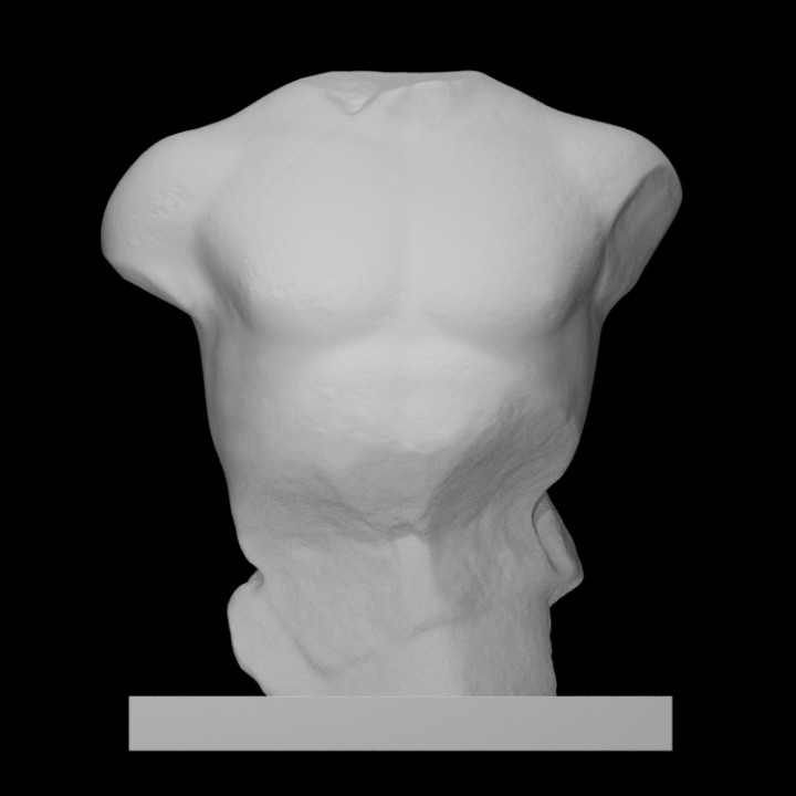 Torso of a seated man image