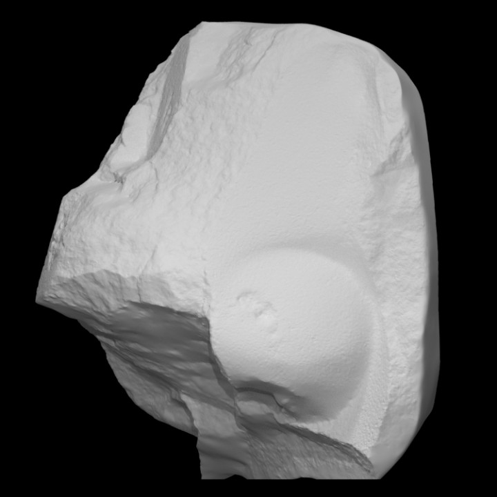 Fragment of a royal nose image