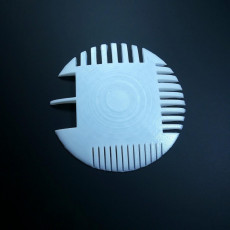 Picture of print of Hair Cair Disk