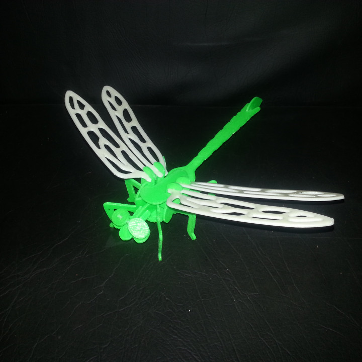 Dragon Fly 3D Puzzle image