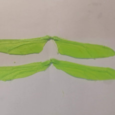 Picture of print of Dragonfly wing