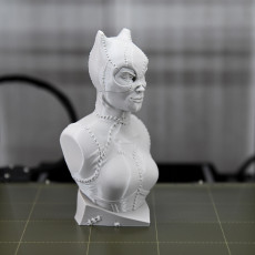 Picture of print of Catwoman bust
