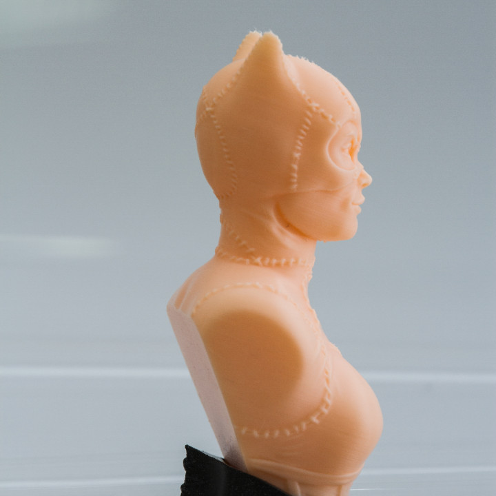 Catwoman bust image
