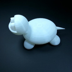 Picture of print of Cute Turtle