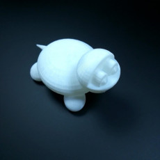 Picture of print of Cute Turtle