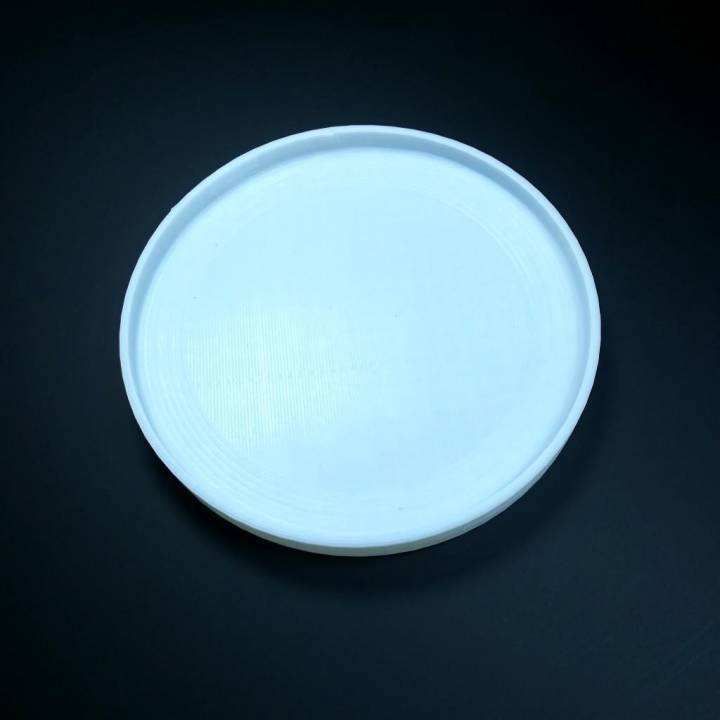 frisbee image
