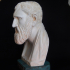 Bust of Zeno print image