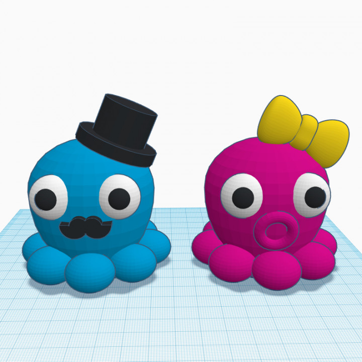 Mr & Mrs Octopus image